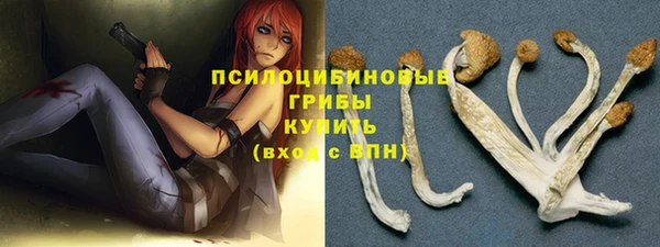 стаф Абинск