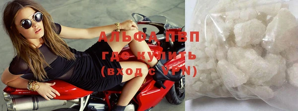 стаф Абинск
