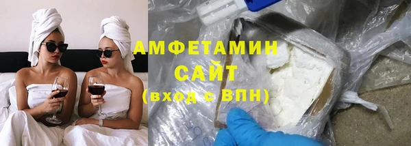 СК Алексин