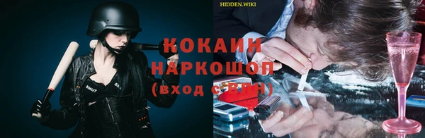 стаф Абинск