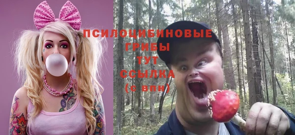 гидра Абдулино