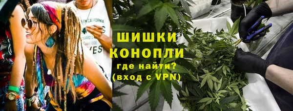 хмурый Абаза
