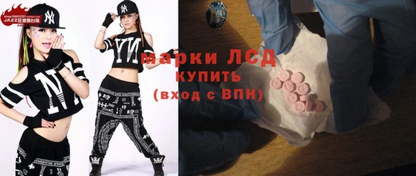 хмурый Абаза