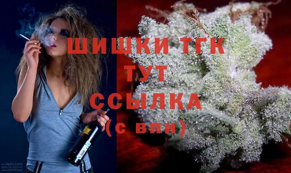 хмурый Абаза